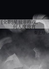 [全职] 星辰非昨夜，何人度良宵