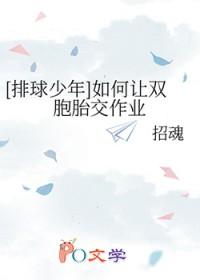 [排球少年] 如何让双胞胎交作业