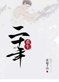 二十年