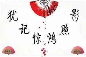 犹记惊鸿照影