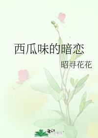 西瓜味的暗恋