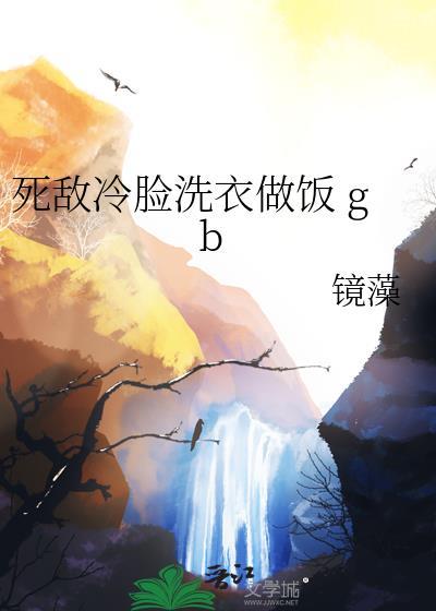 死敌冷脸洗衣做饭 gb