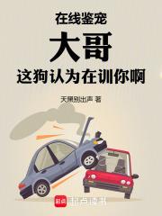 在线鉴宠,大哥这狗认为在训你啊