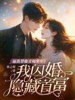 陆子明顾向晚