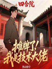 四合院:摊牌了,我是技术大佬