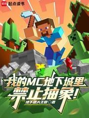 我的MC地下城里禁止抽象!