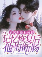 言晚傅砚