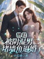 苏清颜陆霆琛