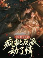 苏南汐沈淮序
