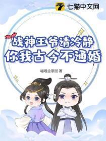 战神王爷请冷静,你我古今不通婚!