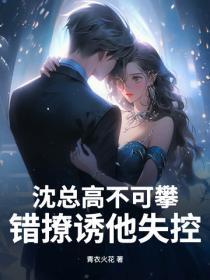 沈总高不可攀,错撩诱他失控