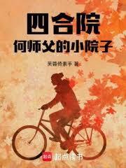 四合院,何师父的小院子