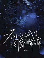安窈傅野