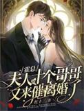 霍总，夫人的十个哥哥又来催离婚了