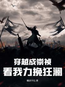 穿越成崇祯,看我力挽狂澜