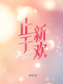 止于新欢