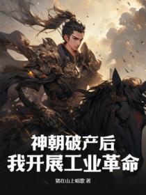 神朝破产后,我开展工业革命