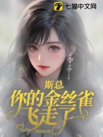 斯总,你的金丝雀飞走了