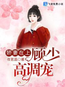 娇妻在上:顾少高调宠