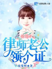 律师老公,领个证