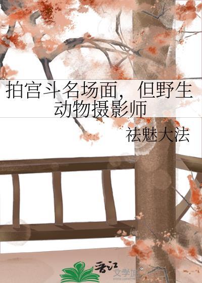 拍宫斗名场面,但野生动物摄影师