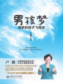 男孩梦:有梦的孩子飞得高