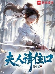夫人请住手