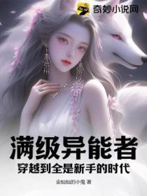 满级异能者:穿越到全是新手的时代