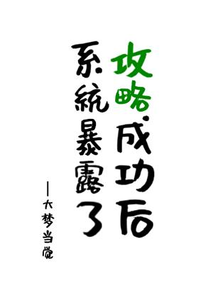 攻略成功后,系统暴露了