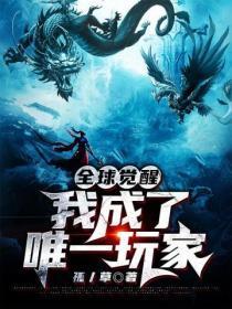全球觉醒:我成了唯一玩家