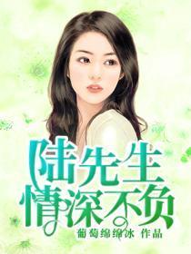 陆先生,情深不负