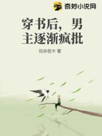 穿书后,男主逐渐疯批