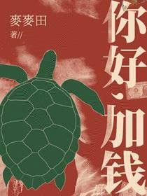 你好,加钱