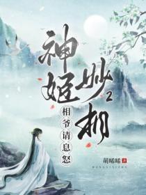 神姬妙相第二册:相爷请息怒