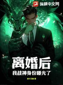 离婚后,我战神身份曝光了