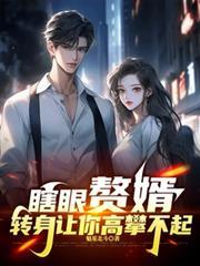 瞎眼赘婿,转身让你高攀不起!