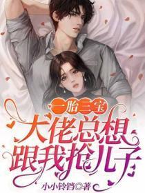 一胎三宝:大佬总想跟我抢儿子