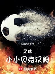 足球:小小贝克汉姆