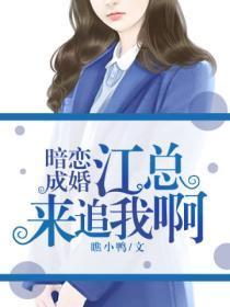 暗恋成婚:江总,来追我呀