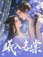 岁岁长宁