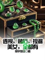 透视,赌石,捡漏,美女,全都有