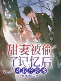 甜妻被偷了记忆后,对我冷冰冰