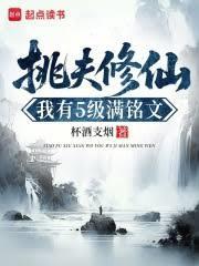 挑夫修仙:我有5级满铭文