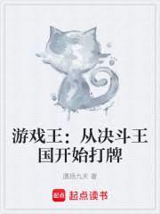 游戏王:从决斗王国开始打牌