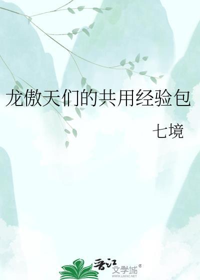 龙傲天们的共用经验包