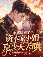 娇娇挺孕肚另嫁,高冷京少来抢亲