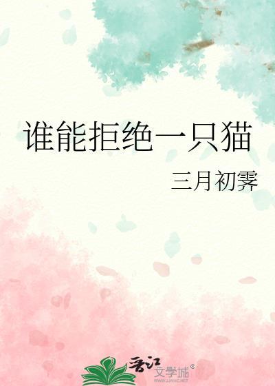 谁能拒绝一只猫
