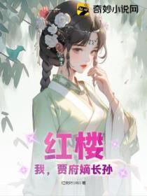 红楼:我,贾府嫡长孙