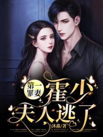 第一罪妻:霍少,夫人逃了