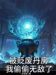 被贬废丹房,我偷偷无敌了